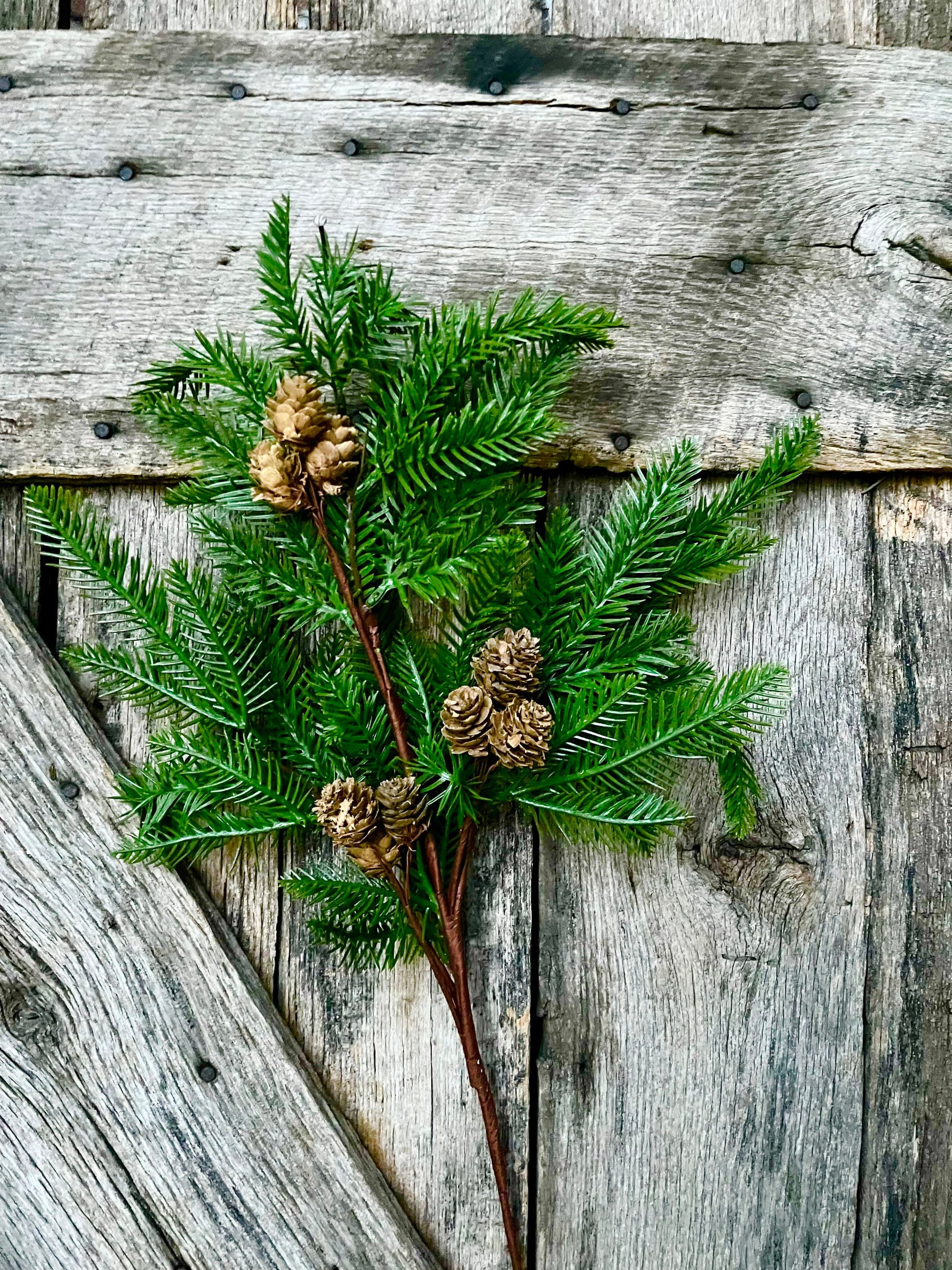 Pine spray, pine cone spray