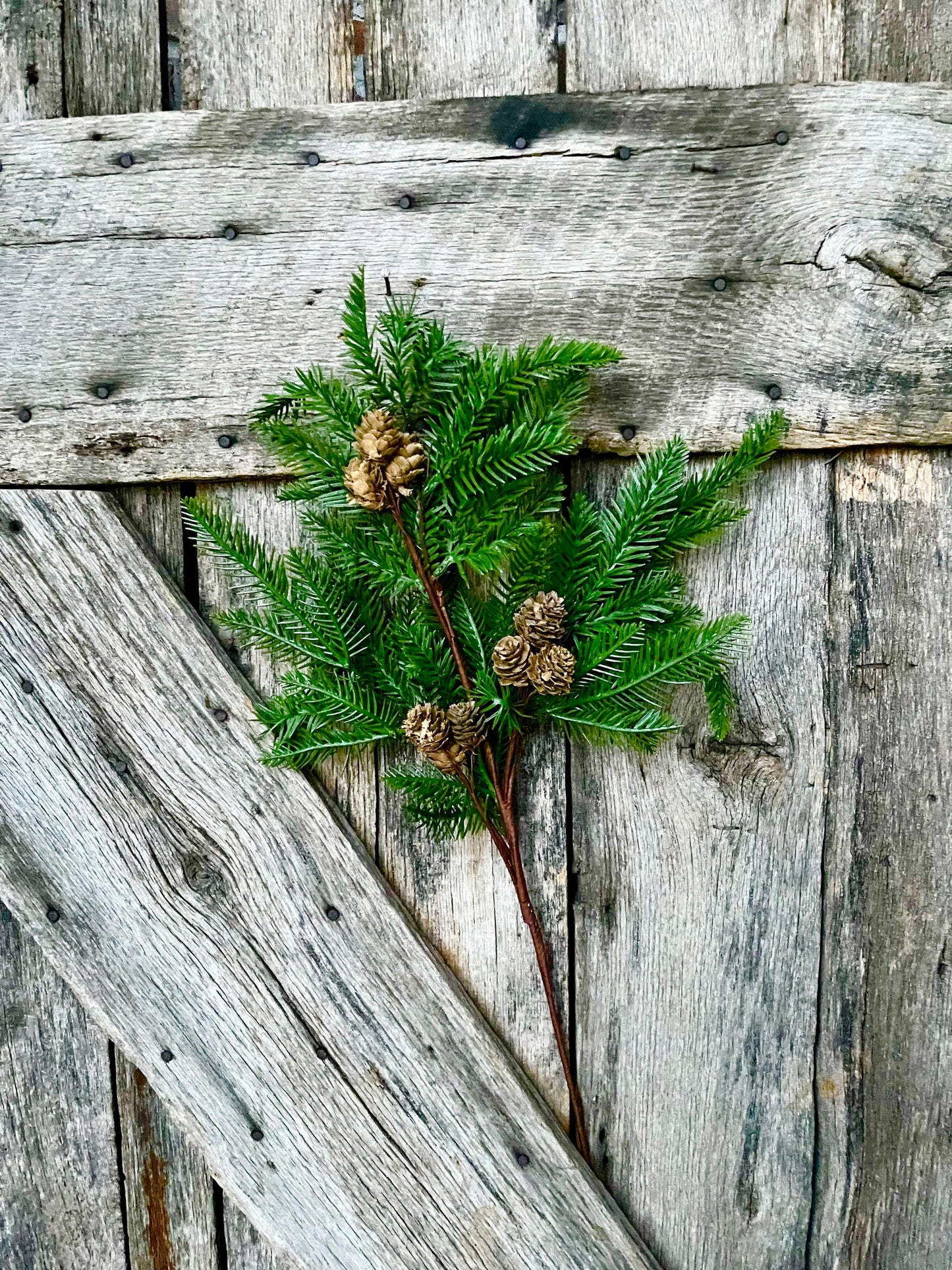 Pine spray, pine cone spray