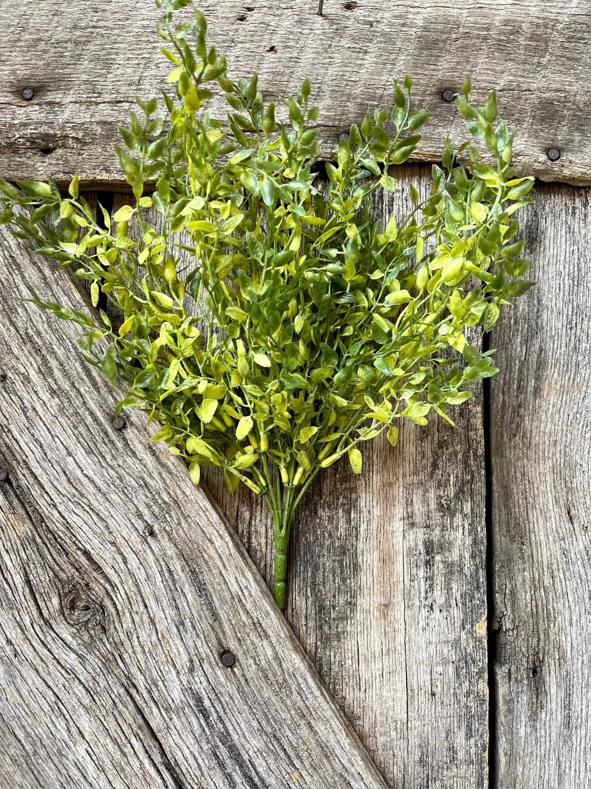 Lemon Beauty Bush, Wreath Greenery, Greenery Bush, Spring Greenery, Wreath supply, craft supply, greenery bush