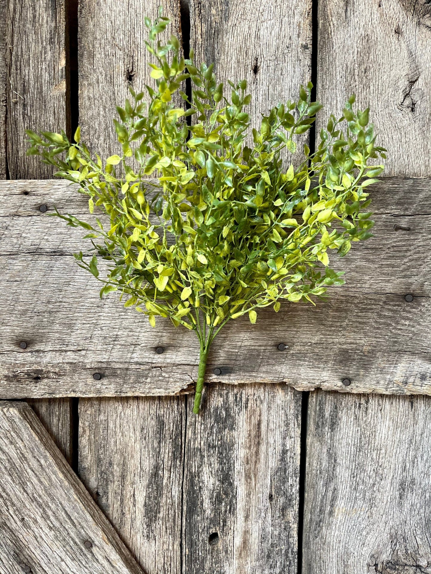 Lemon Beauty Bush, Wreath Greenery, Greenery Bush, Spring Greenery, Wreath supply, craft supply, greenery bush