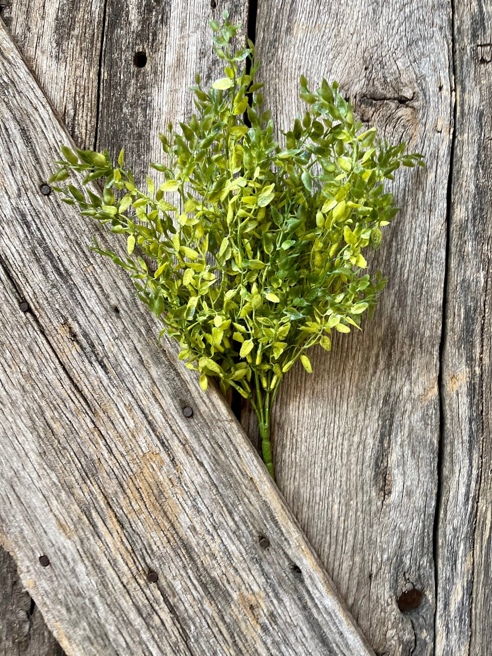 Lemon Beauty Bush, Wreath Greenery, Greenery Bush, Spring Greenery, Wreath supply, craft supply, greenery bush