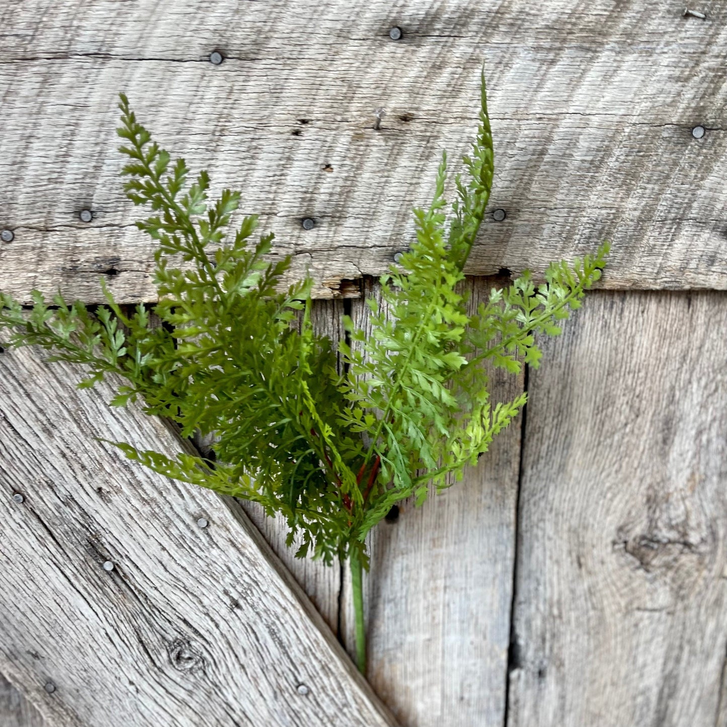 Fern bush, 16&quot; Fern Bush, Greenery Bush, Spring Greenery, Summer Greenery, Artificial Greenery, Craft Supply, Floral Supply