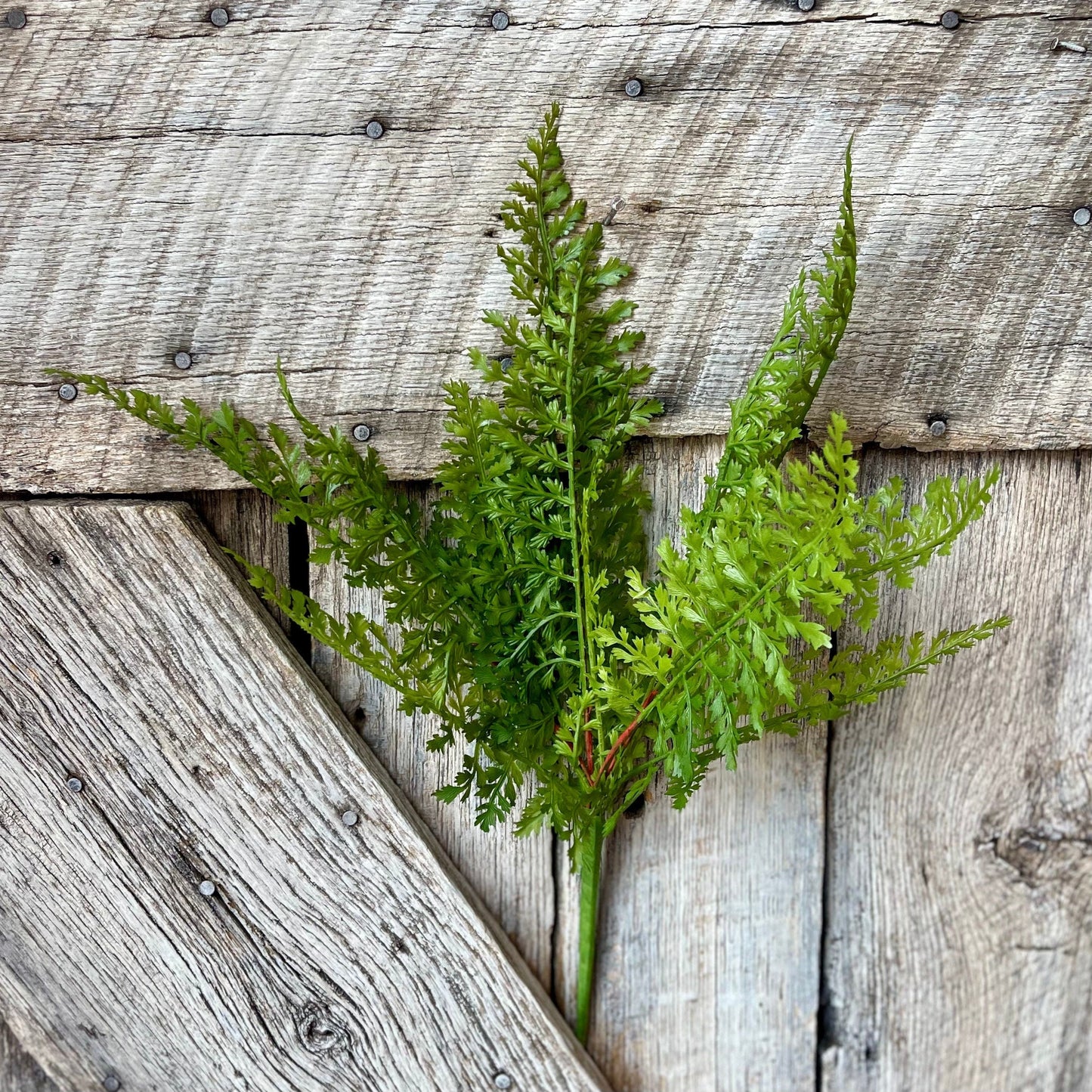 Fern bush, 16&quot; Fern Bush, Greenery Bush, Spring Greenery, Summer Greenery, Artificial Greenery, Craft Supply, Floral Supply