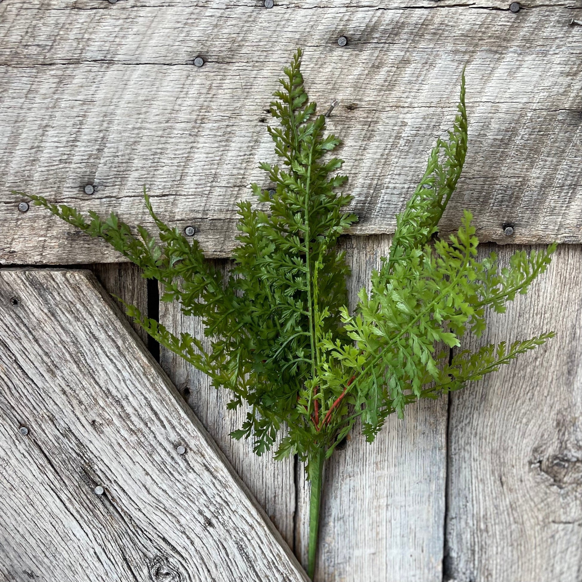 Fern bush, 16&quot; Fern Bush, Greenery Bush, Spring Greenery, Summer Greenery, Artificial Greenery, Craft Supply, Floral Supply