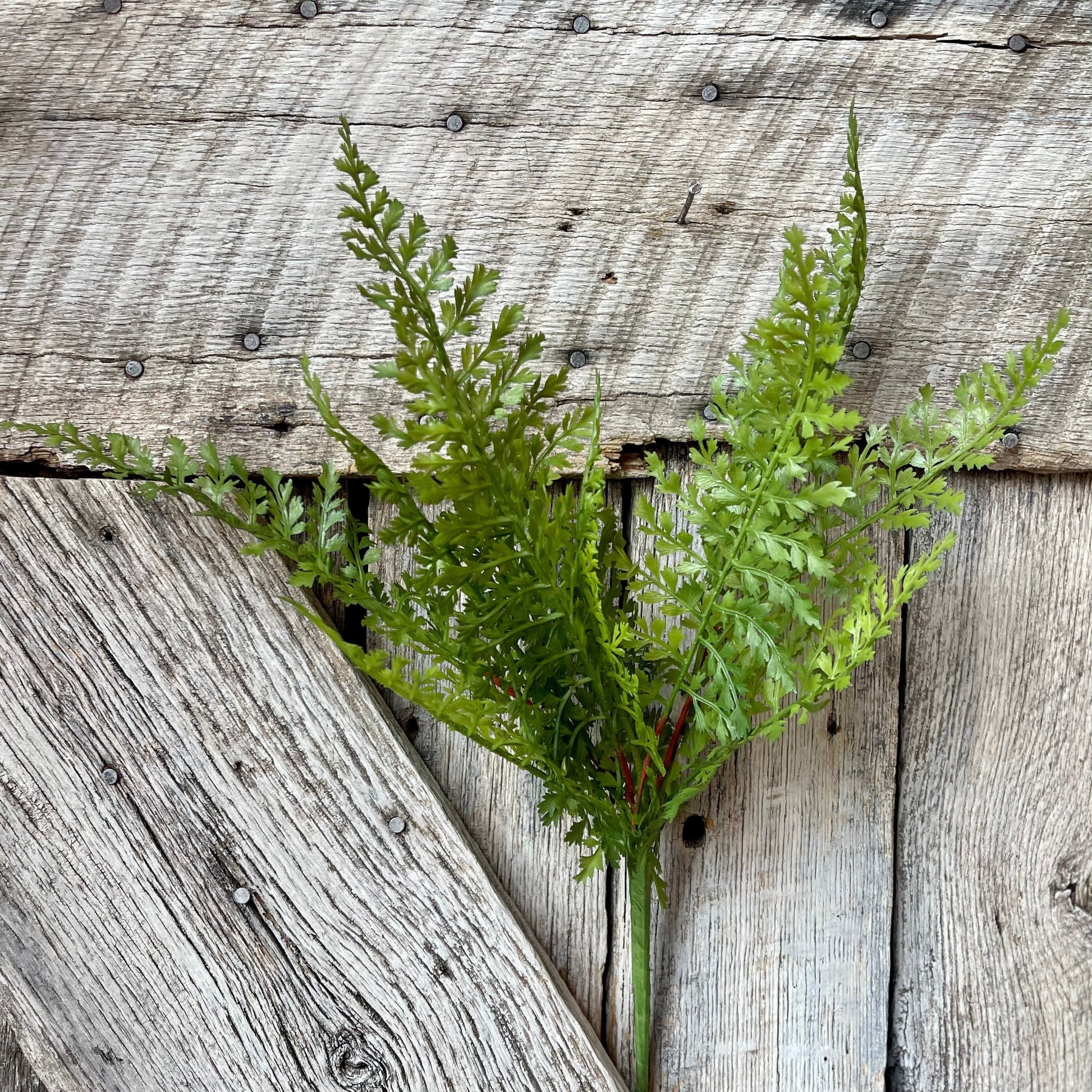 Fern bush, 16&quot; Fern Bush, Greenery Bush, Spring Greenery, Summer Greenery, Artificial Greenery, Craft Supply, Floral Supply