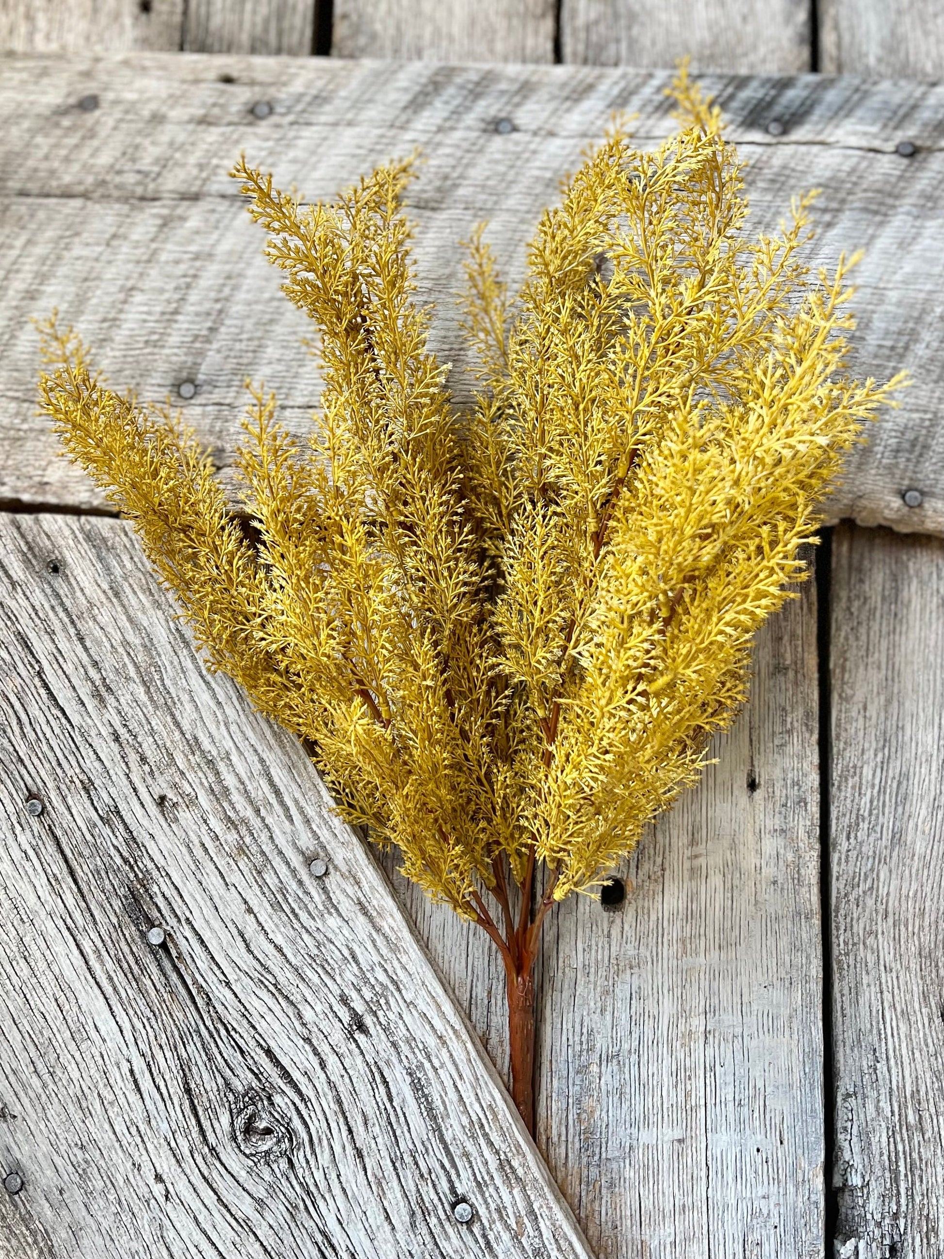 Yellow Sorghum Bush, Fall Greenery Bush, Yellow Fall Bush