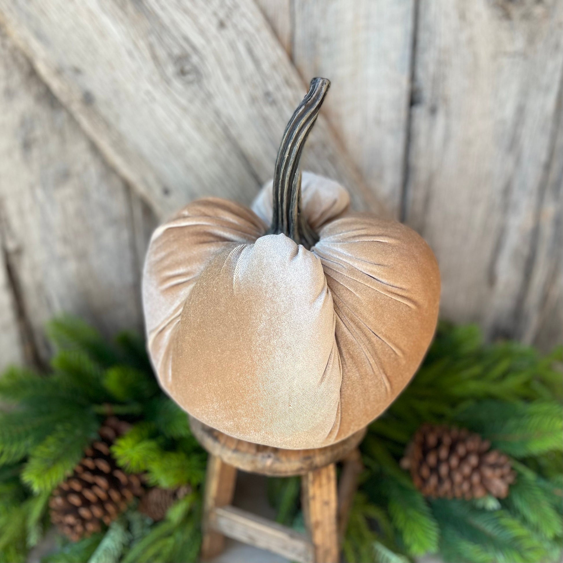 Large Velvet Pumpking, Taupe Velvet Pumpkin, Champagne Velvet Pumpkin