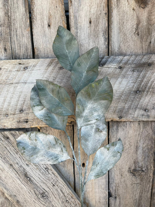 White Washed Leaf Steam, Greenery