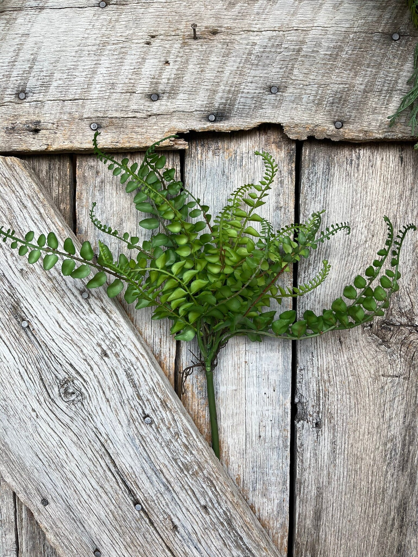 16" Green Fern Spray, Greenery Bush, Spring Greenery