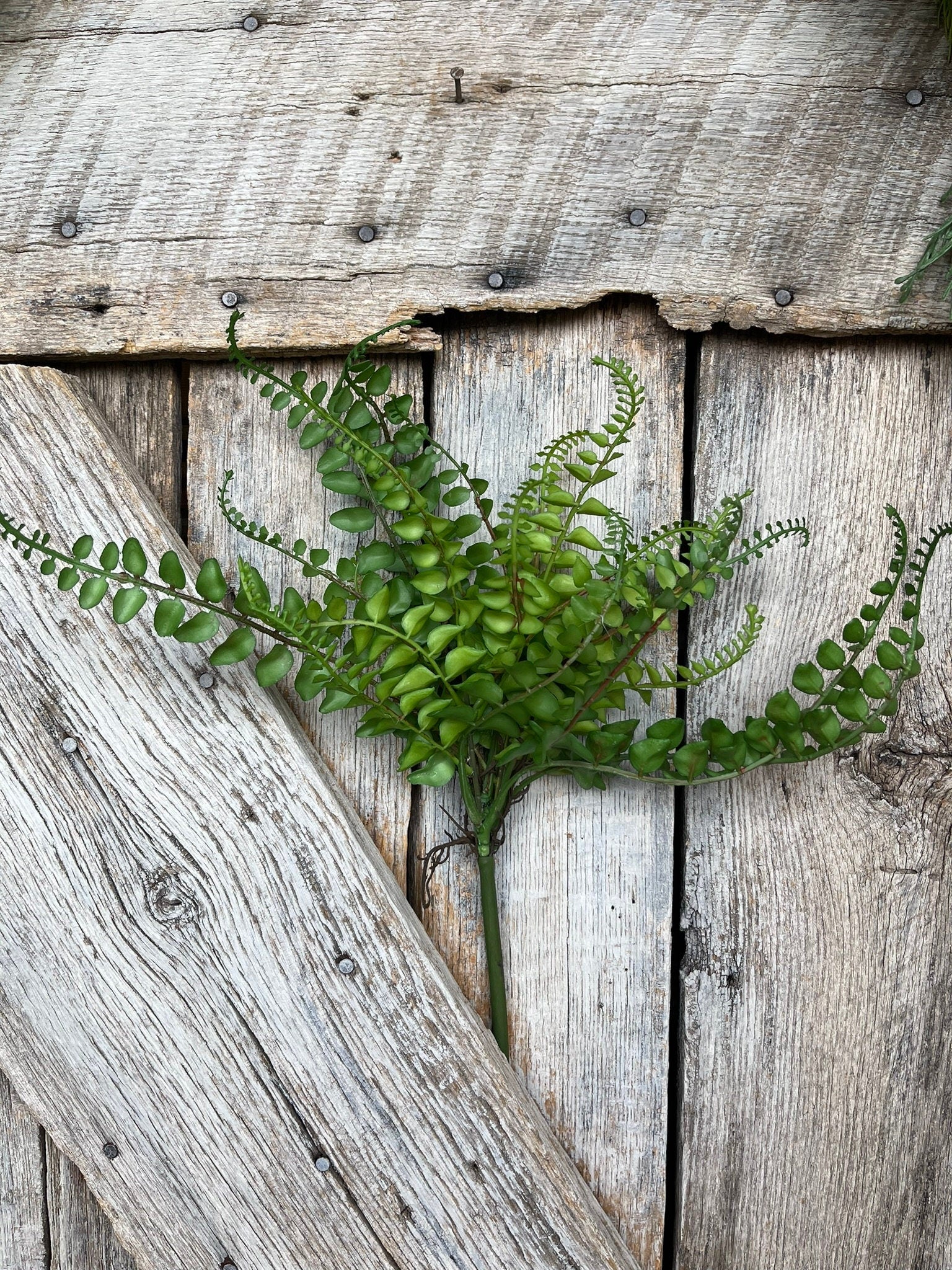 16" Green Fern Spray, Greenery Bush, Spring Greenery