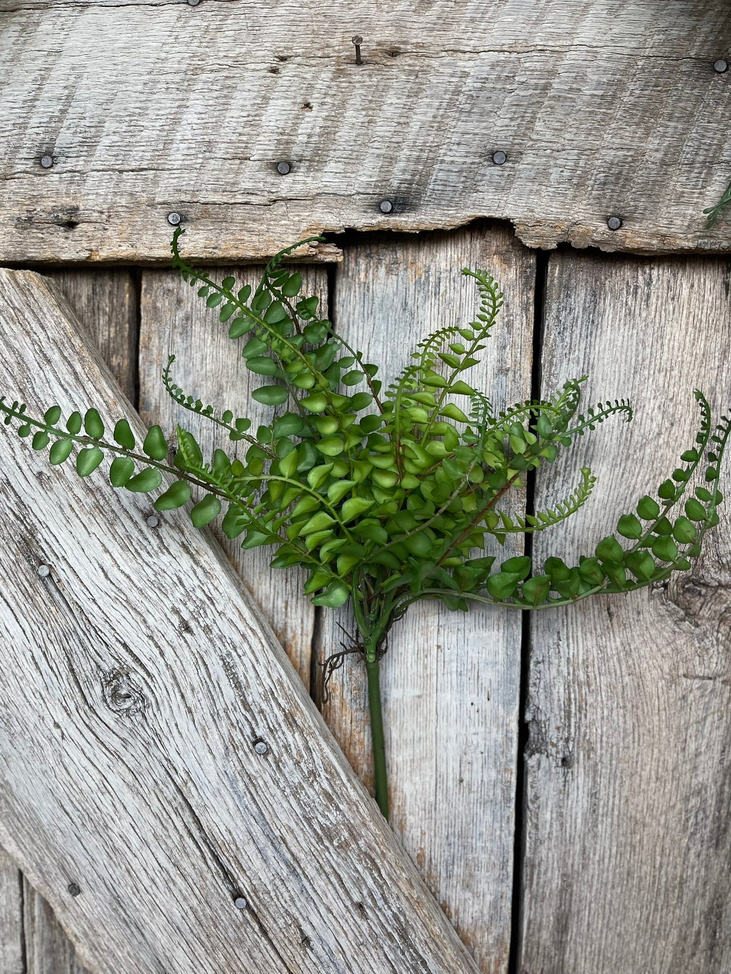 16" Green Fern Spray, Greenery Bush, Spring Greenery