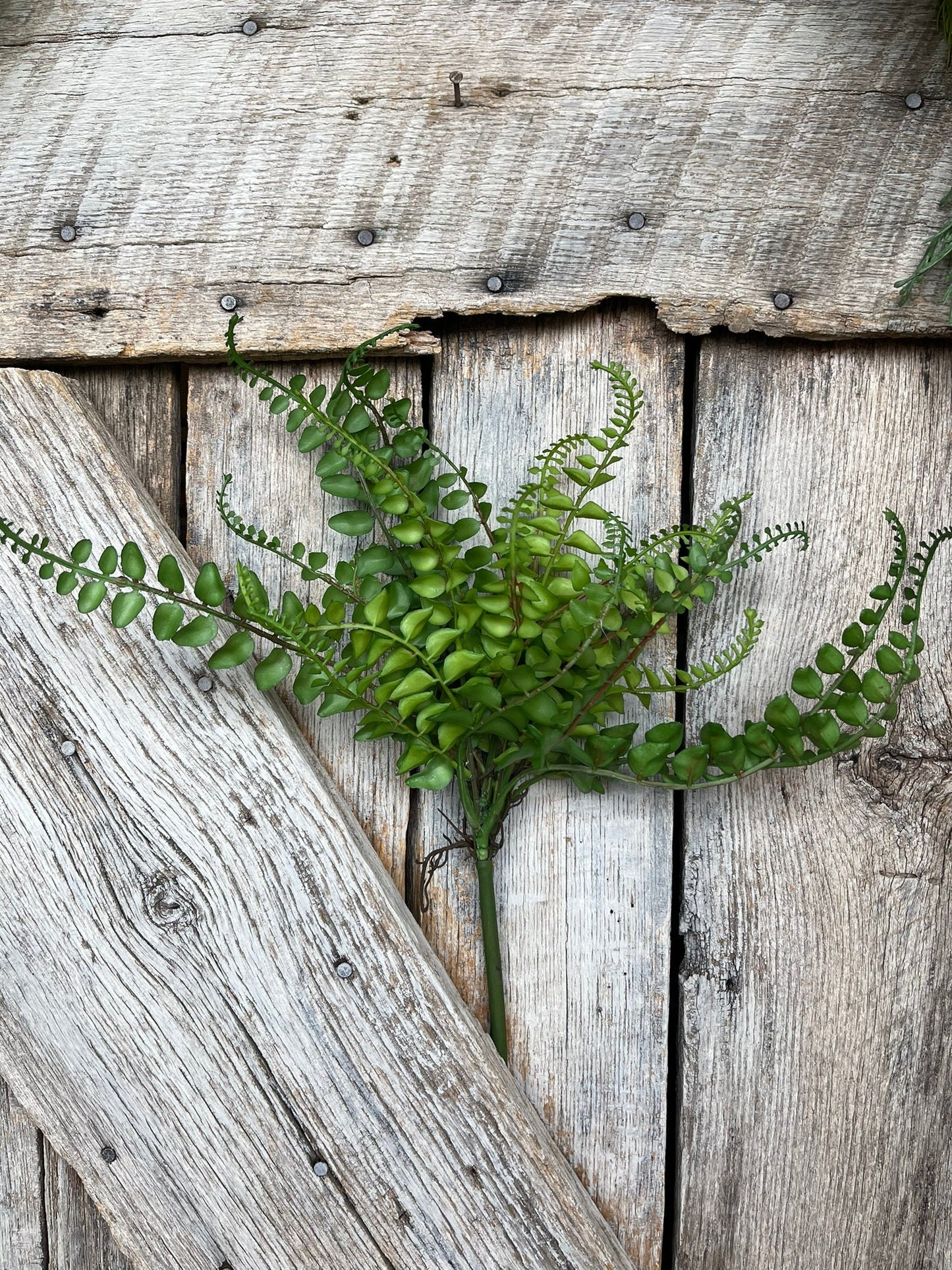 16" Green Fern Spray, Greenery Bush, Spring Greenery