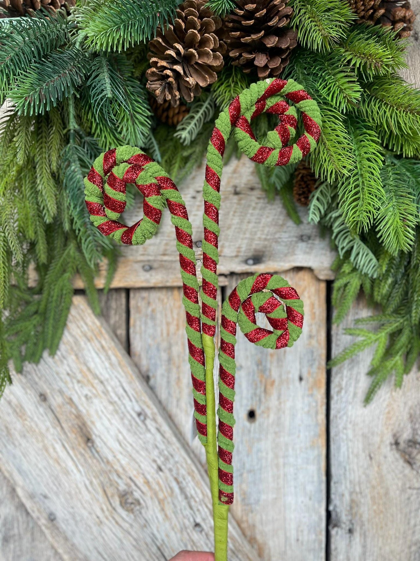 28" Red Green Curly Spray, Christmas Curly Spray