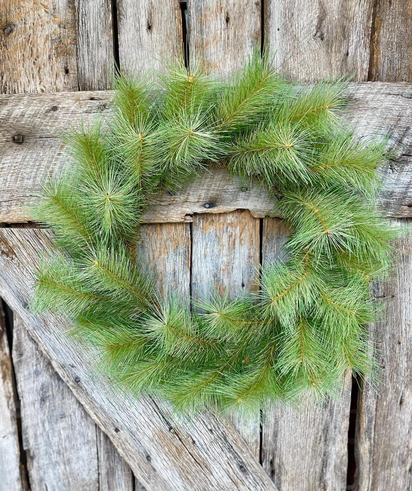 24" Thick Pine Wreath, Christmas Wreath