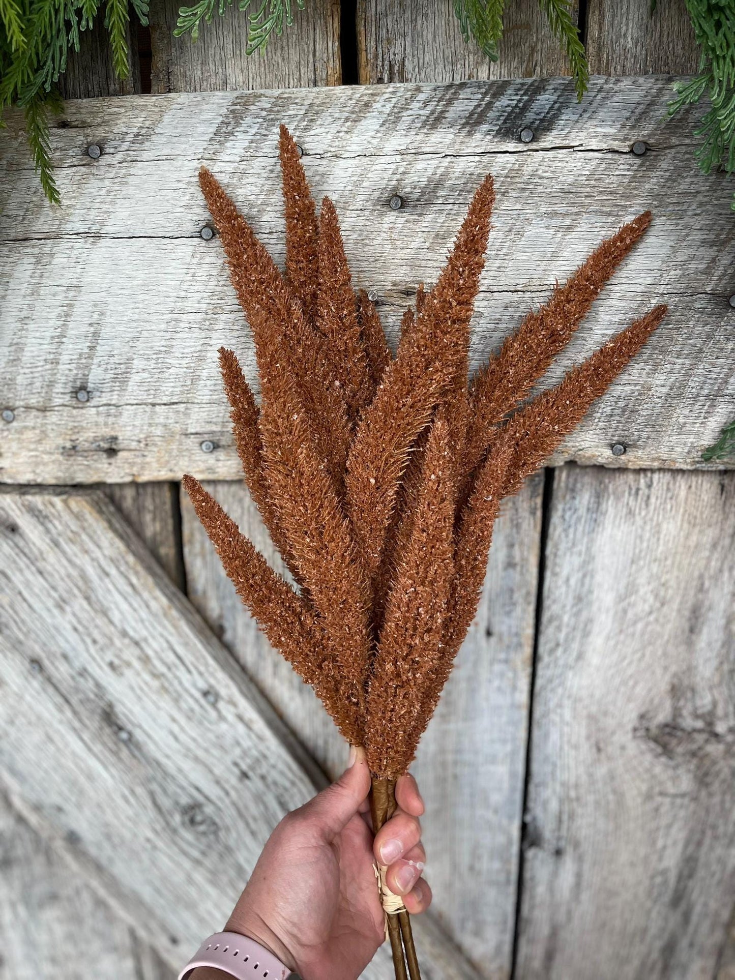 24" Mocha Brown Foxtail Bundle, Fall Greenery, Fall Spray, Fall Artificial Wheat Spray, Brown Fall Spray, Fall Filler Bush, Brown Bush