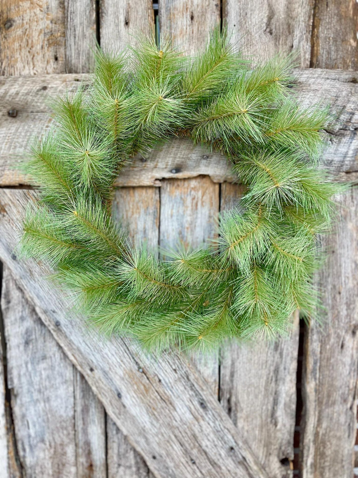 24" Thick Pine Wreath, Christmas Wreath