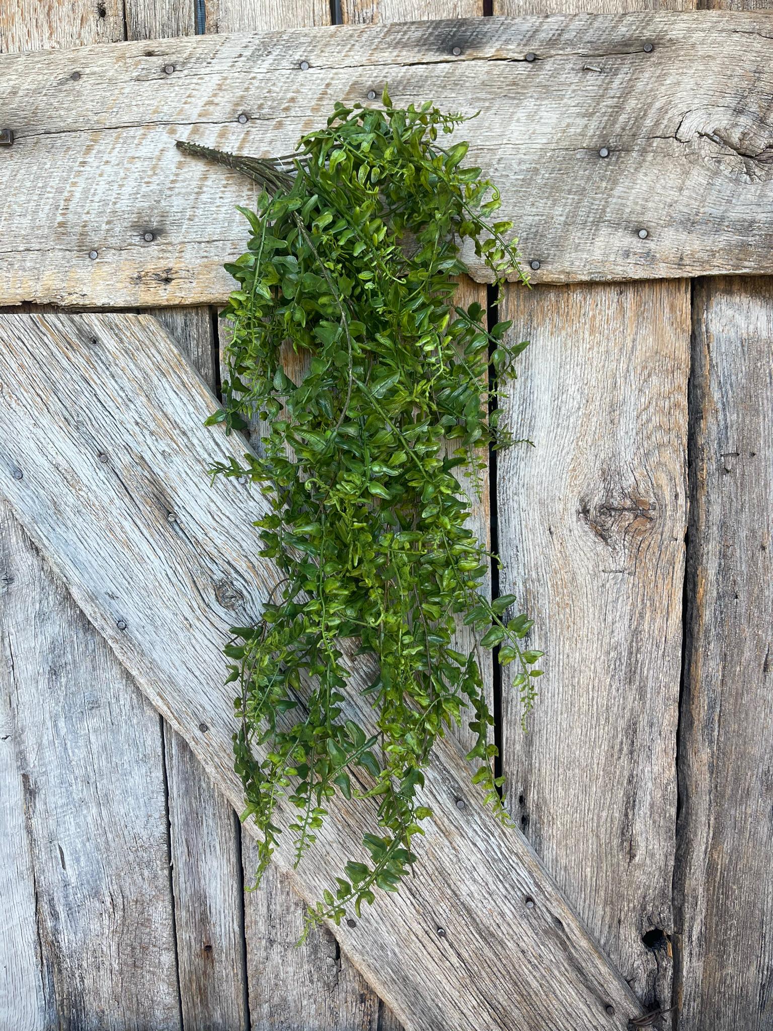 30" Green Buckler Fern Vine, Hanging Greenery Bush, Artificial Greenery BUsh, Hanging Greenery, Floral Supply