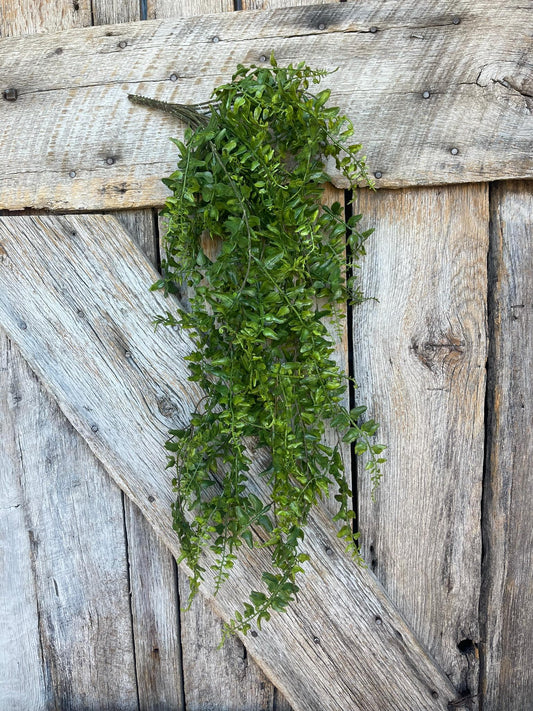 30" Green Buckler Fern Vine, Hanging Greenery Bush