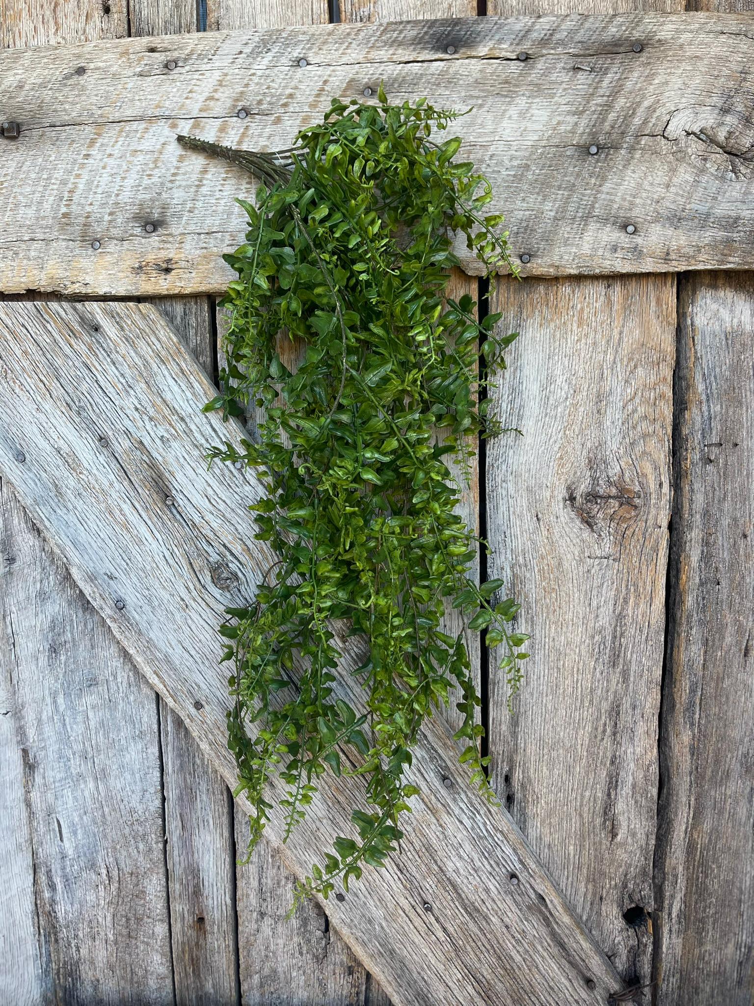 30" Green Buckler Fern Vine, Hanging Greenery Bush, Artificial Greenery BUsh, Hanging Greenery, Floral Supply