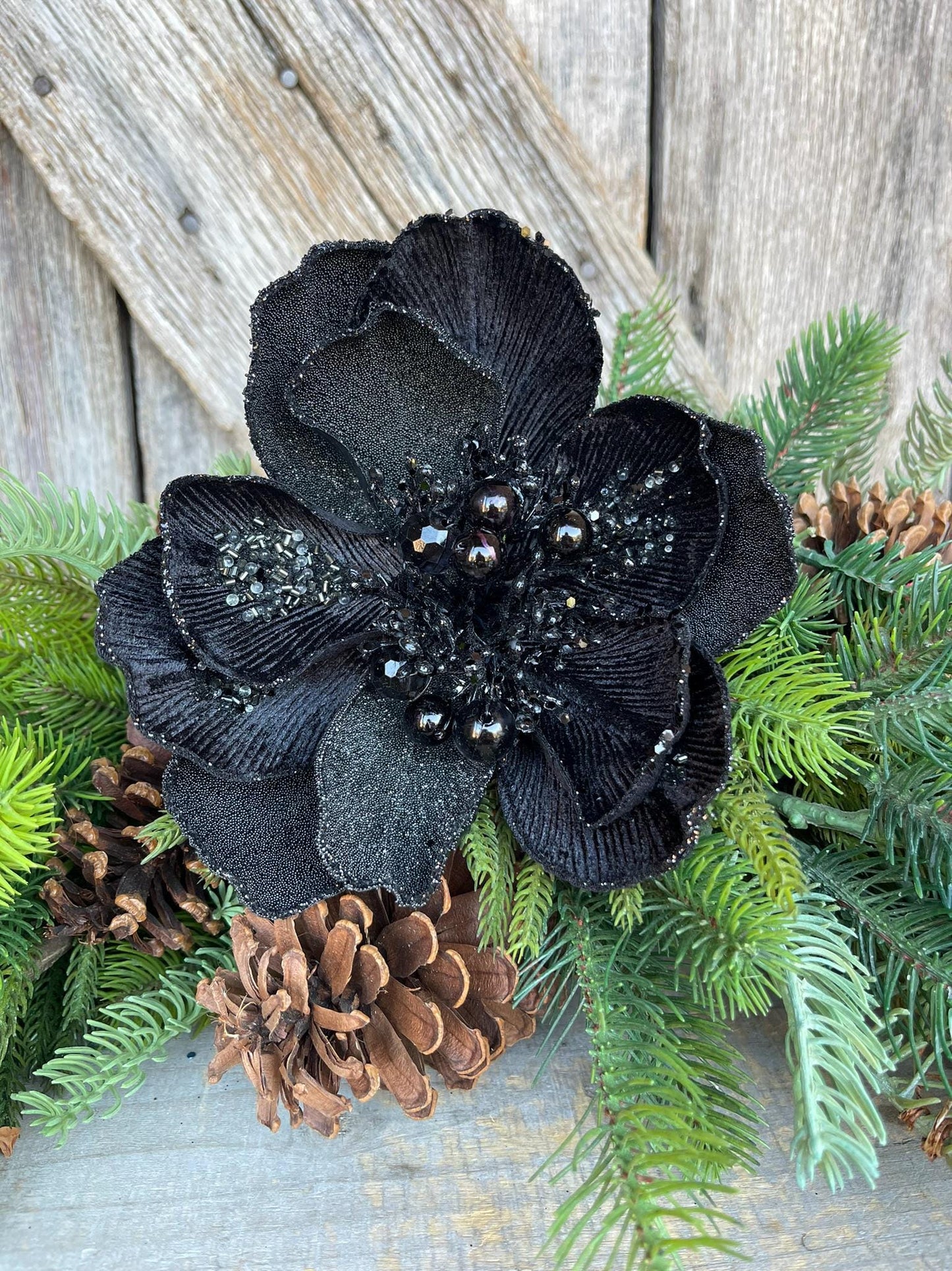 7" Black Magnolia, Farrisilk Magnolia