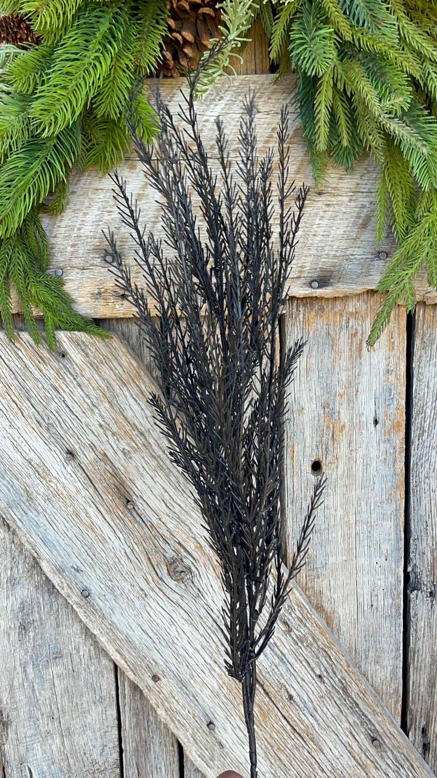 32" Black Fern Spray, Black Halloween Spray