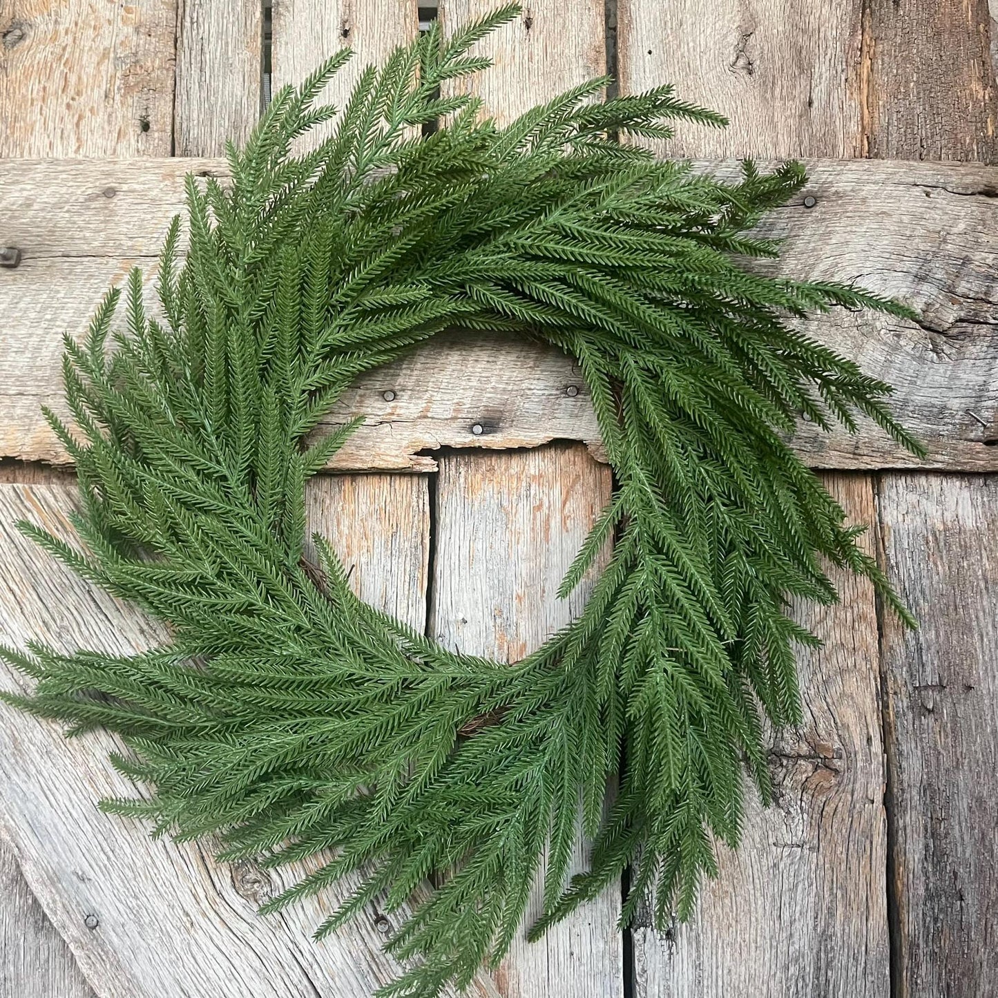 24" Norfolk Pine Wreath, Real Touch Norfolk Pine Wreath