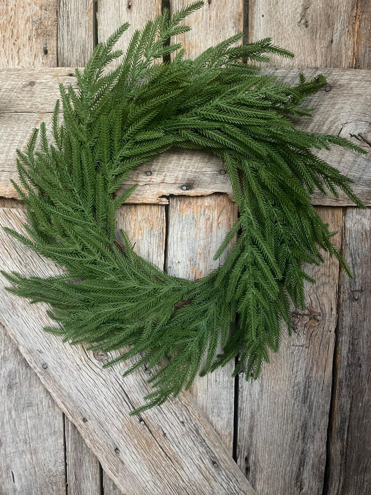 24" Norfolk Pine Wreath, Real Touch Norfolk Pine Wreath, Artificial Pine Wreath, Christmas Wreath, Winter Wreath, Artificial Greenery, 84374