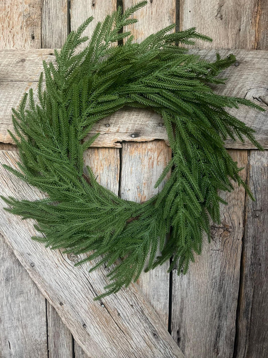 24" Norfolk Pine Wreath, Real Touch Norfolk Pine Wreath