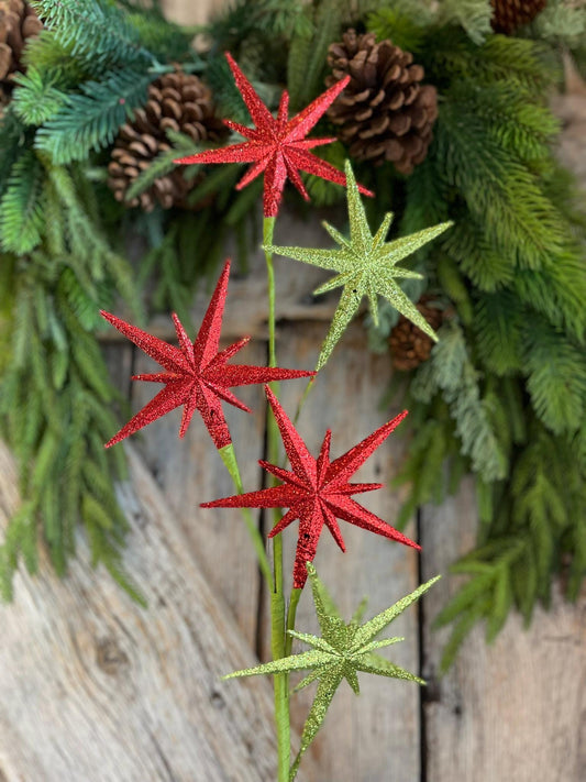 27" Bethlehem Star Spray, Red Green Star Spray