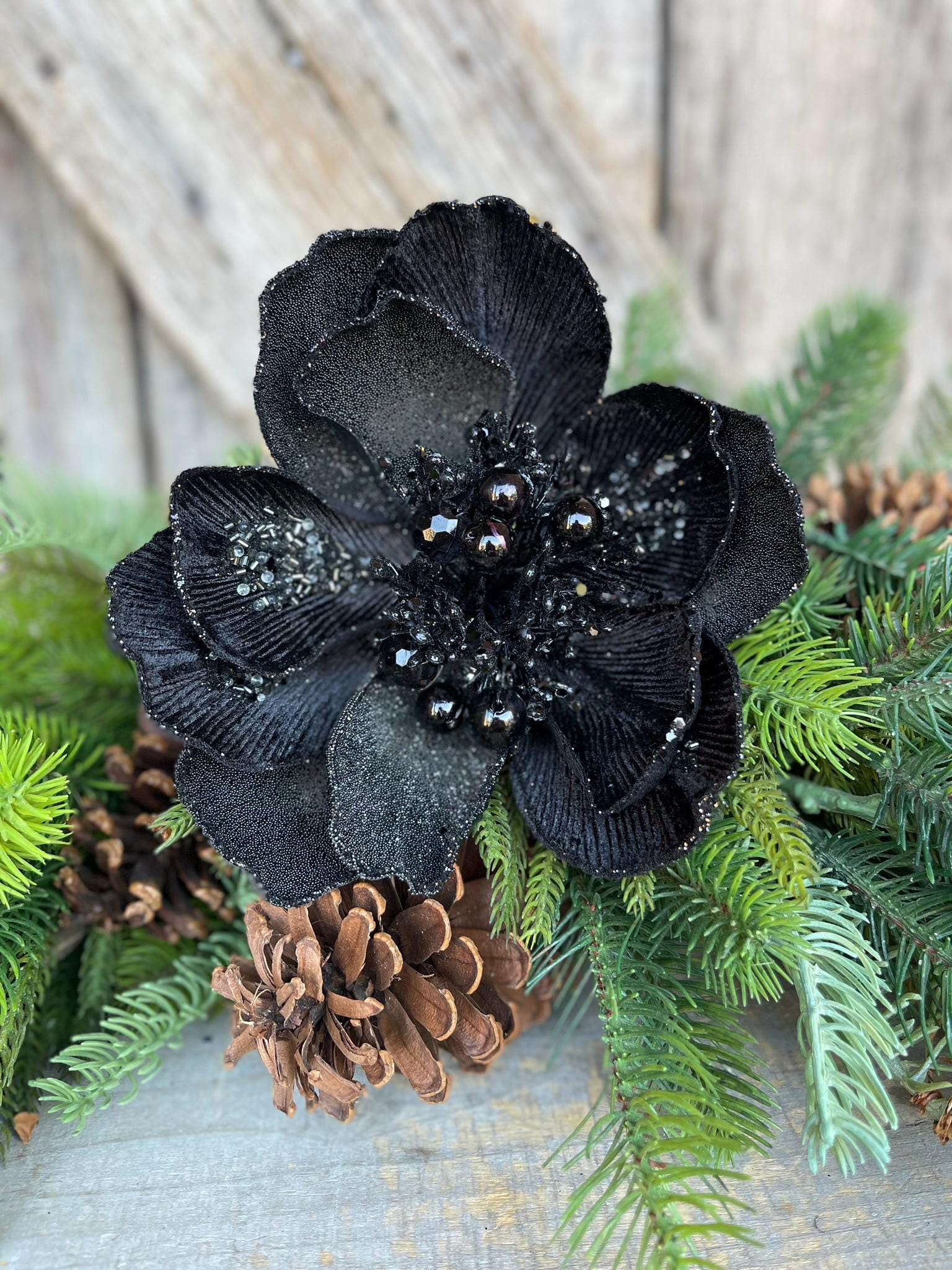 7" Black Magnolia, Farrisilk Magnolia