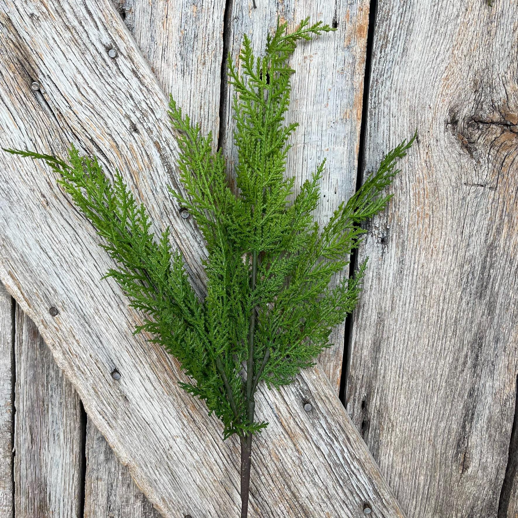 24" Cedar Spray, Christmas Cedar Spray, Christmas Greenery spray