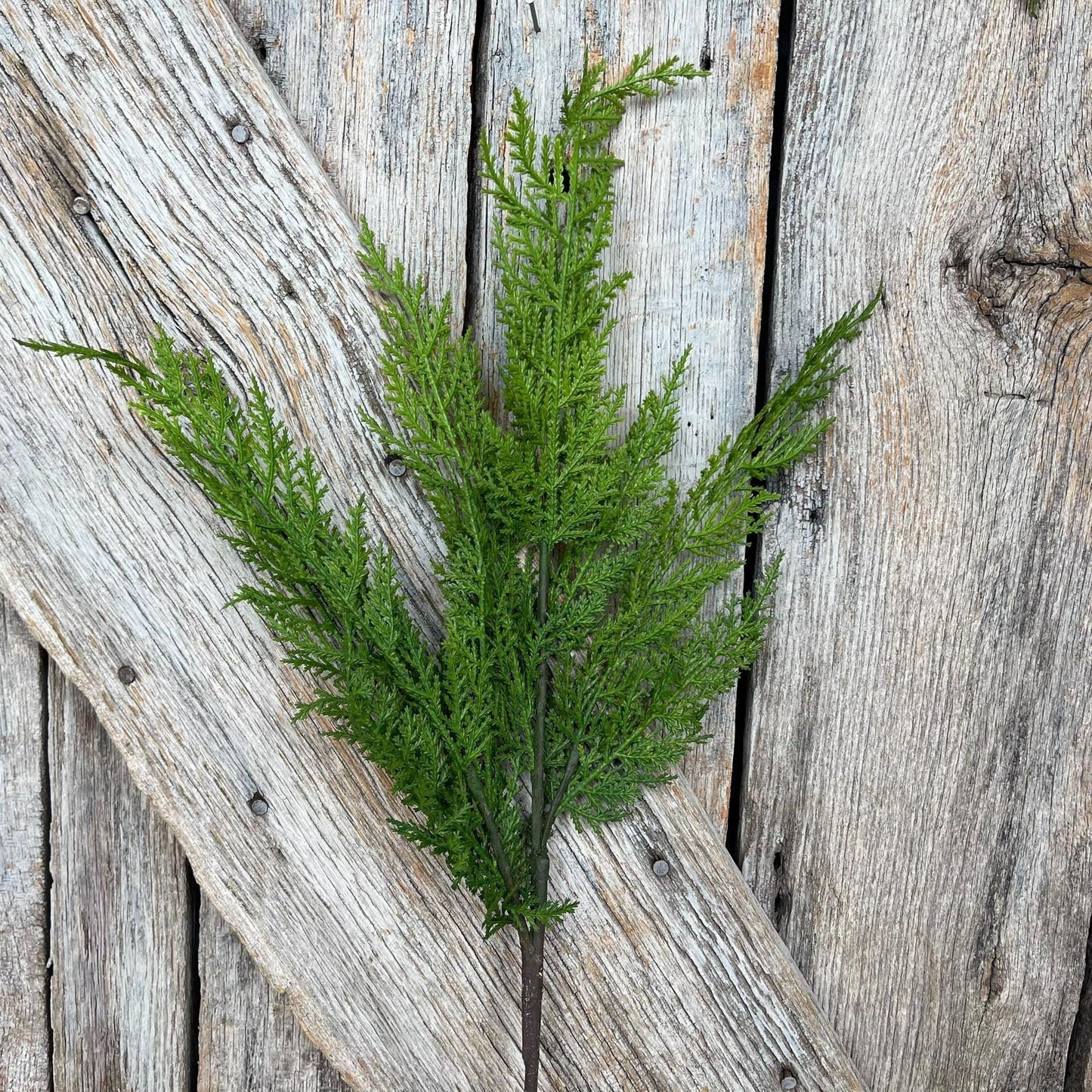 24" Cedar Spray, Christmas Cedar Spray, Christmas Greenery spray