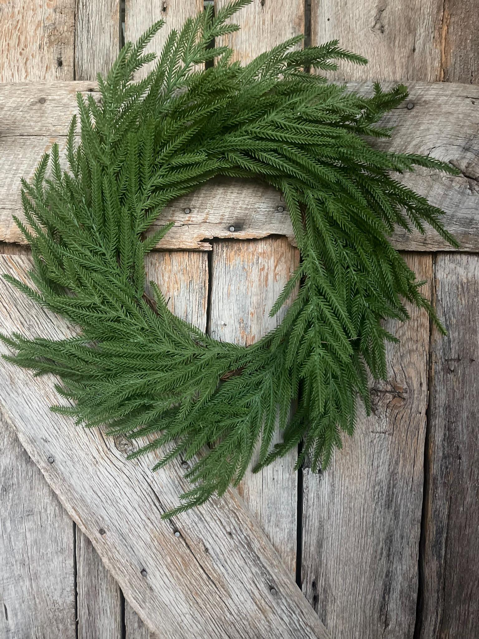 24" Norfolk Pine Wreath, Real Touch Norfolk Pine Wreath