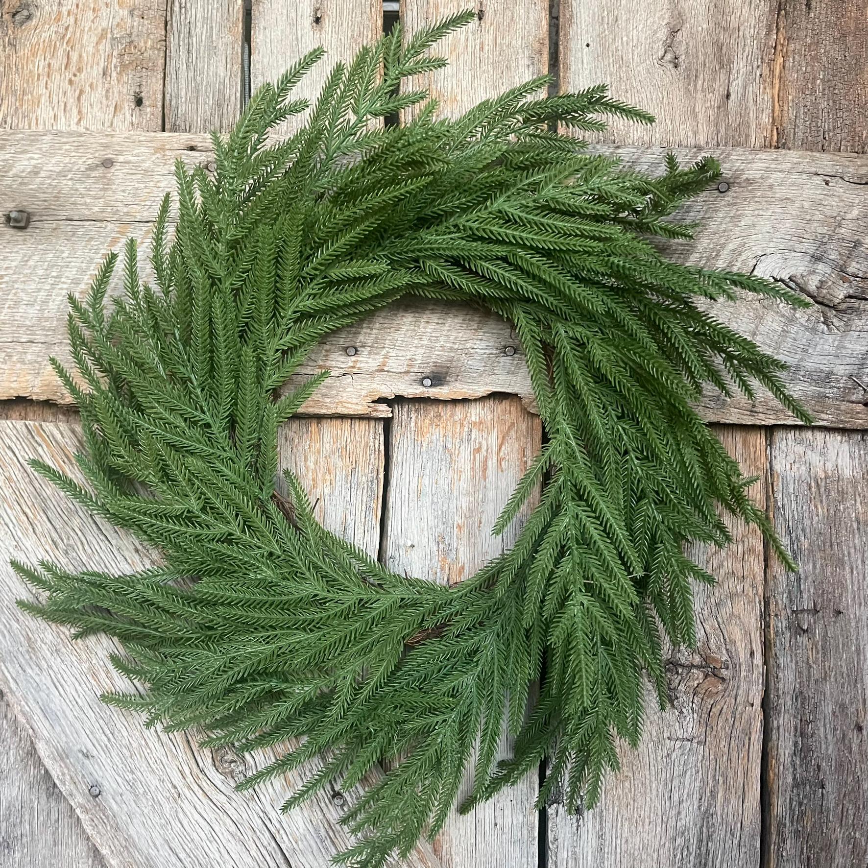 24" Norfolk Pine Wreath, Real Touch Norfolk Pine Wreath