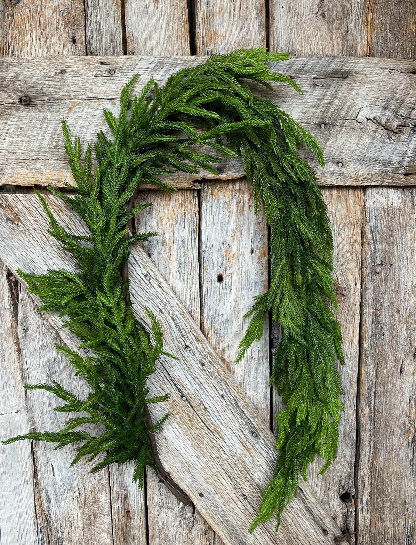 5' Norfolk Real Touch Garland, Pine Greenery