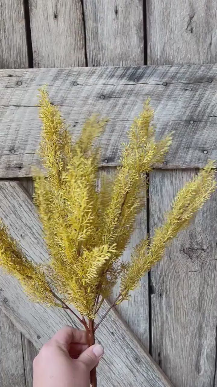 Yellow Sorghum Bush, Fall Greenery Bush, Yellow Fall Bush