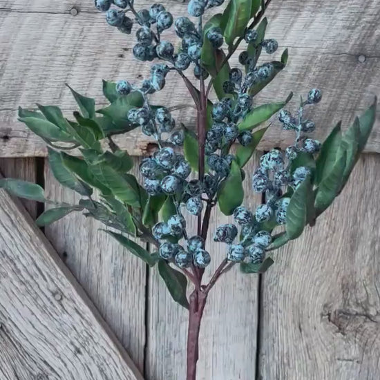 Blueberry spray, blueberry floral, blueberry pick