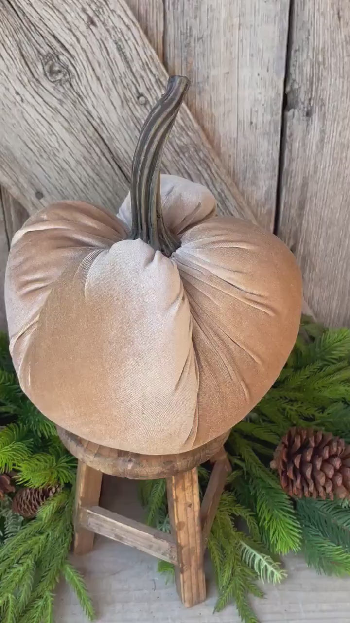 Large Velvet Pumpking, Taupe Velvet Pumpkin, Champagne Velvet Pumpkin